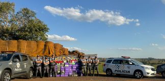 CARGA PESADA: Polícia Rodoviária persegue caminhão e apreende 1.500 Kg de drogas