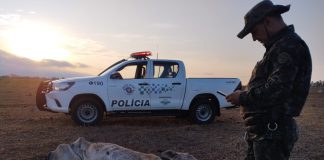 Dono de assentamento é multado em R$ 69 mil por deixar gado agonizando sem pastagem