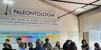 Museu de Paleontologia com rico acervo de fósseis é inaugurado na Unesp