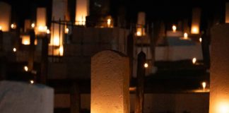 104º Shokonsai espera público de 8 mil pessoas