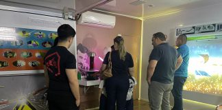 Energia leva para o Festival de Pipas orientações sobre riscos de brincar perto da rede elétrica