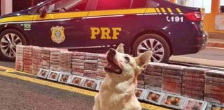 Caminhoneiro de Presidente Prudente é preso com carga de cocaína avaliada em mais de R$ 5 milhões em Ponta Porã