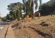 Zeladoria setorizada inicia novo cronograma de hoje até dia 22 de agosto