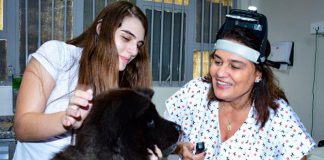 Cães com úlcera de córnea são tratados de graça na Unoeste