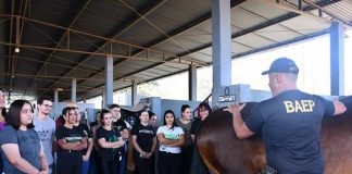Projeto Hipoterapia oferta oficina na Cavalaria do 18º Baep