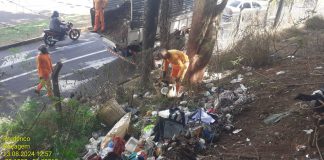 Margens da linha férrea em Prudente é limpa pela Prudenco Presidente Prudente - LIMPEZA DE ÁREA