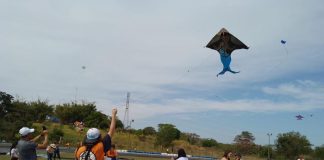 DINOSSAUROS: Setur anuncia 38º Festival de Pipas Raul Albieri em agosto