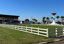Expo Prudente contará com provas de cavalos e leilões
