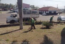 Zeladoria setorizada inicia novo cronograma nesta segunda