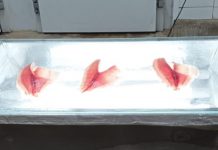 CIOP é autorizado pelo Governo Federal para realizar inspeção nacional em agroindustrias de pescado no Oeste Paulista