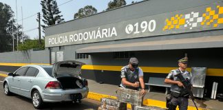 Polícia Rodoviária apreende 311 Kg de maconha na rodovia Assis Chateaubriand