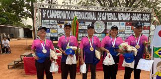 Gateball da Semepp conquista 3º lugar no Campeonato Internacional
