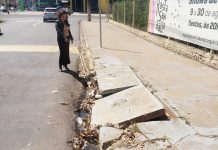 Estudo ratifica pedido de vereadora Joana D’arc para caminhão limpa-bueiro contra dengue em Prudente