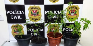 Polícia Civil cumpre mandados de busca e apreensão em Presidente Prudente