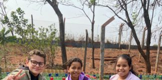 Plantio de mudas em escola celebra Semana da Árvore