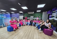 Agentes do Sebrae Aqui da Nova Alta Paulista participam de reunião de alinhamento em Presidente Prudente