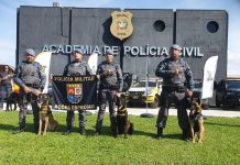 Canil do 8º BAEP conquista 1º lugar com competição Sul-Americana