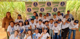 Escolas municipais de PP participam do “Plantando Verde, Colhendo Vida” da Usina Alto Alegre