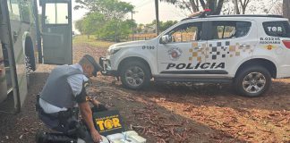 Homem é preso com 5,6 Kg de maconha em ônibus em Dracena