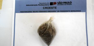 Mulher tenta entrar com porça de maconha em presídio de Presidente Bernardes
