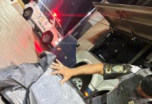 Polícia Rodoviária prende mulher em ônibus com 4 Kg de cocaína