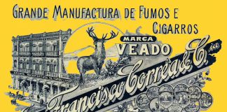 Livro aborda a origem do termo ‘veado’ como insulto homofóbico