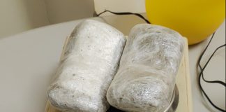 Visitante de detento é detida com droga na Penitenciária de Bernardes