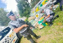 Polícia Rodoviária apreende 1,5 tonelada de maconha em caminhão do DF