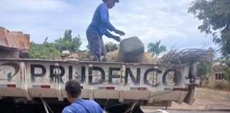 Prefeitura divulga cronograma de zeladoria deste semana