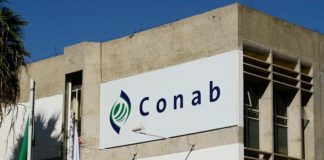 Conab abrirá concurso nacional com 403 vagas