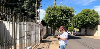 Vigilância Epidemiológica de Prudente inicia primeiro Índice Breteau de 2025 para monitorar situação da dengue