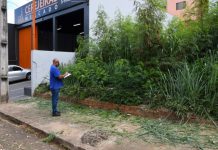 Donos de terrenos com mato alto vão ser multados em R$ 1.540 em Presidente Prudente