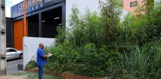 Donos de terrenos com mato alto vão ser multados em R$ 1.540 em Presidente Prudente