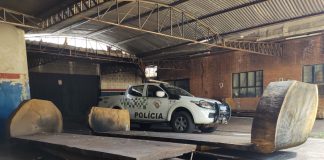 Empresa Prudentina é multada por ter madeiras sem licença em depósito