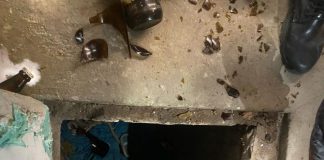 VÍDEO: Homem é linchado no RS após sequestrar e abusar de menina de 9 anos