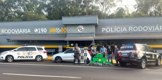 Mulher é presa transportando 175 Kg de maconha, skank e haxixe em carro na SP-425