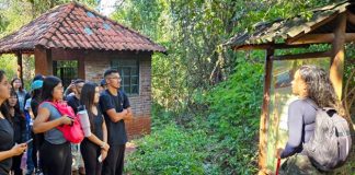 Acadêmicos de Ciências Biológicas da Unoeste realizam visita técnica no Morro do Diabo