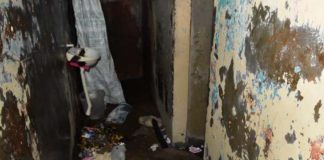 PRESIDENTE PRUDENTE: Preso diz que estripou colega de cela após “salve” de facção do RJ, mas MP relata briga por chocolate