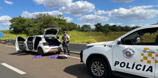 Polícia Rodoviária prende traficante com 115 Kg de maconha a 50 Km de Presidente Prudente