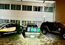 Polícia Rodoviária e Ficco/SP prendem traficante com 81 Kg de maconha em Presidente Prudente