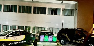 Polícia Rodoviária e Ficco/SP prendem traficante com 81 Kg de maconha em Presidente Prudente