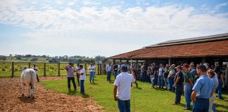 De olho no mercado, workshop aborda inovações na pecuária em Presidente Prudente