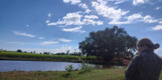 Sitiante recebe multa de R$ 10 mil por destruir vegetação nativa em Nova Guataporanga