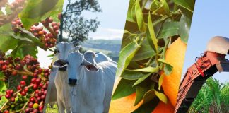 Agro paulista registra superávit de US$ 3 bi no primeiro bimestre de 2025