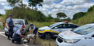 Polícia Rodoviária prende traficante de Aracanguá na rodovia Assis Chateaubriand com 68 Kg de maconha