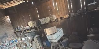 Homem de 61 anos é preso por armazenar combustível irregularmente em oficina