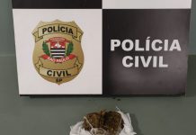 VÍDEO: Polícia Civil prende em flagrante rapaz de 28 anos por tráfico em Pirapozinho