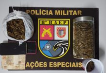 Casal de 26 anos é preso com maconha “Colombian Gold” no bairro Brasil Novo