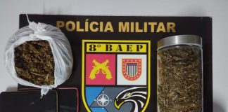 Casal de 26 anos é preso com maconha “Colombian Gold” no bairro Brasil Novo