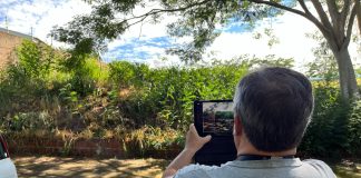 Seplan realiza fiscalizações no Parque Higienópolis visando prevenção e combate à dengue